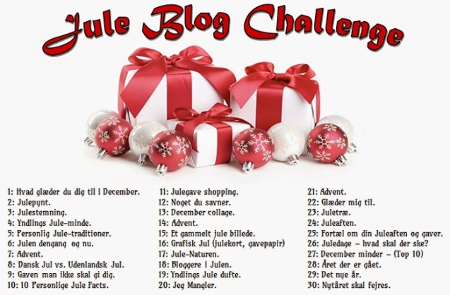 jeas-jule-blog-challenge2014-03